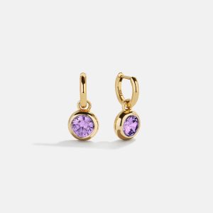 18K Gold Birthstone Drop Earrings - Light Amethyst