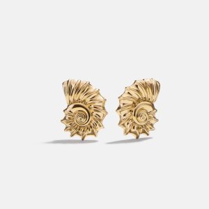 Nixie Seashell Earrings - Gold